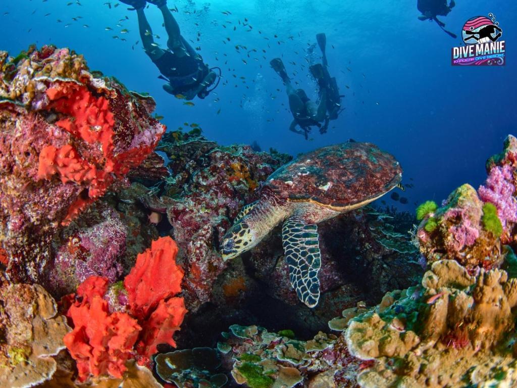 Khaolak Dive Resort カオラック エクステリア 写真