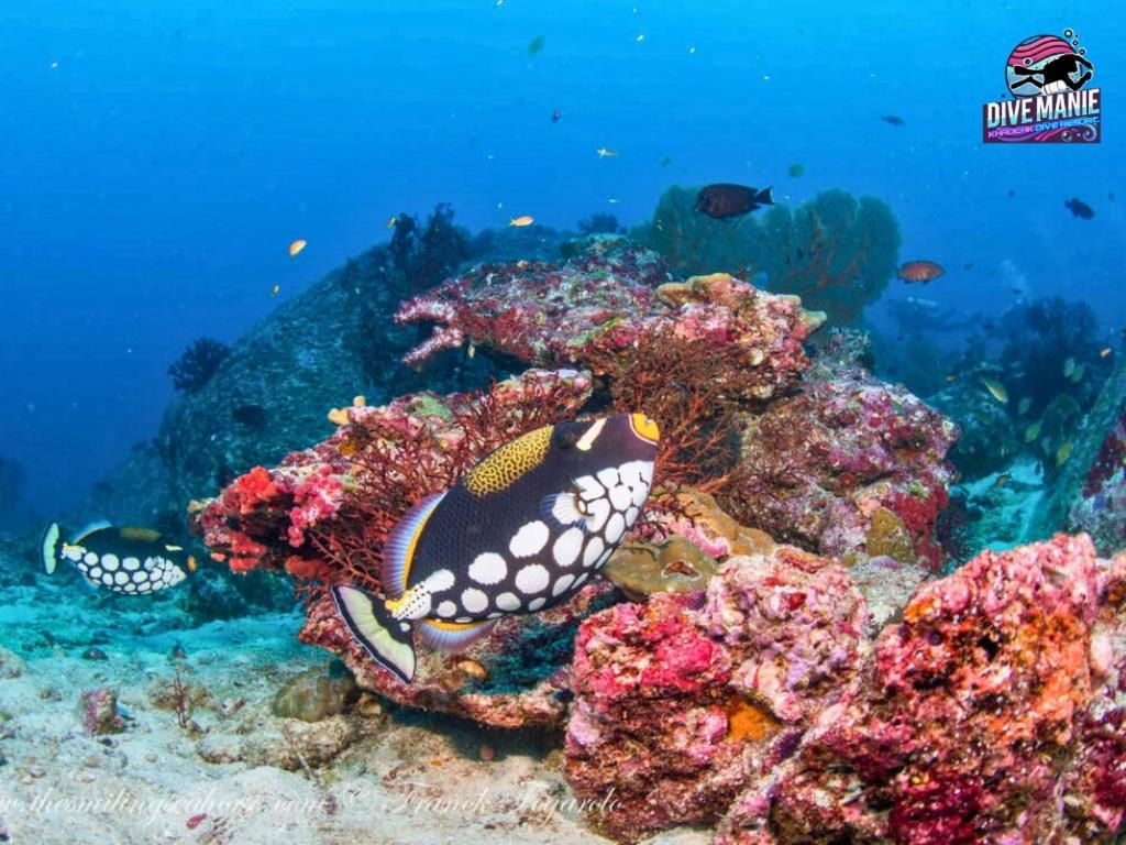 Khaolak Dive Resort カオラック エクステリア 写真