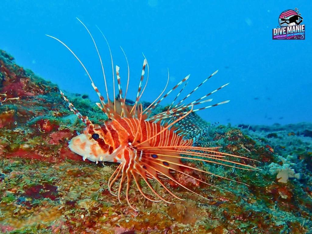 Khaolak Dive Resort カオラック エクステリア 写真