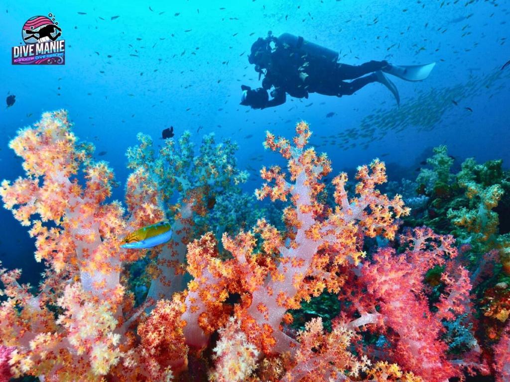 Khaolak Dive Resort カオラック エクステリア 写真