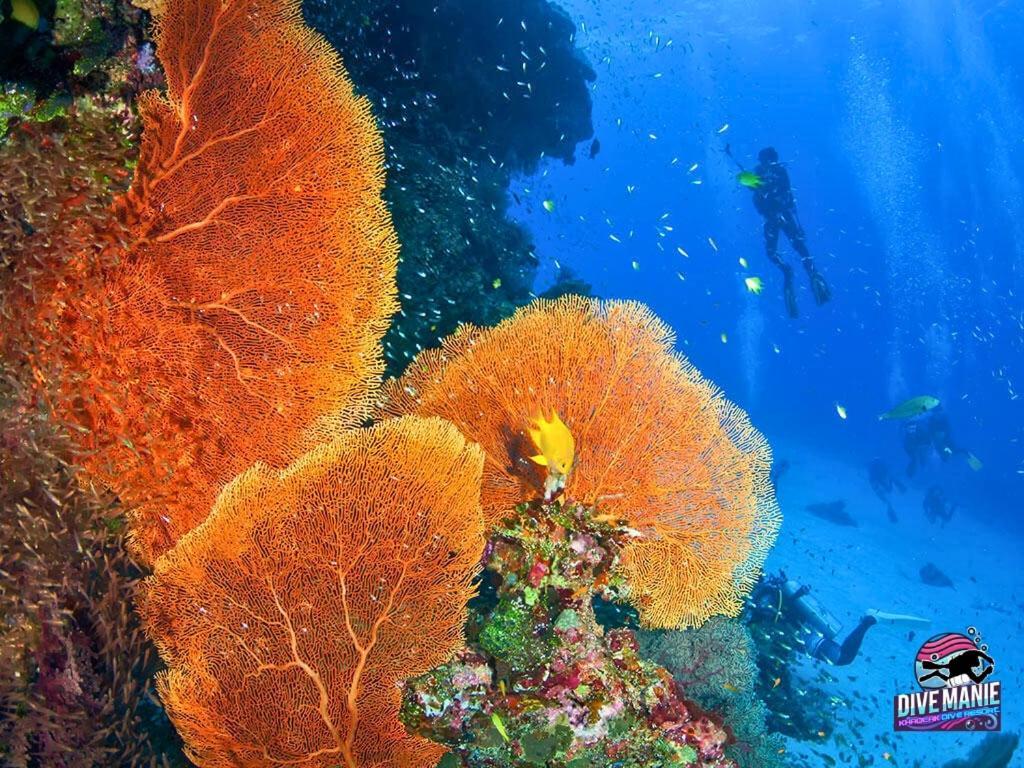 Khaolak Dive Resort カオラック エクステリア 写真